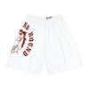 Men’s Puget Sound Hound Sports Shorts (AOP)